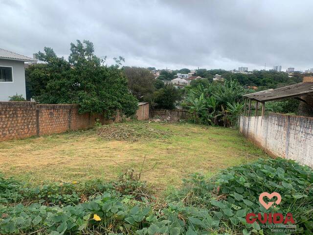 Venda em Parque São Paulo - Cascavel