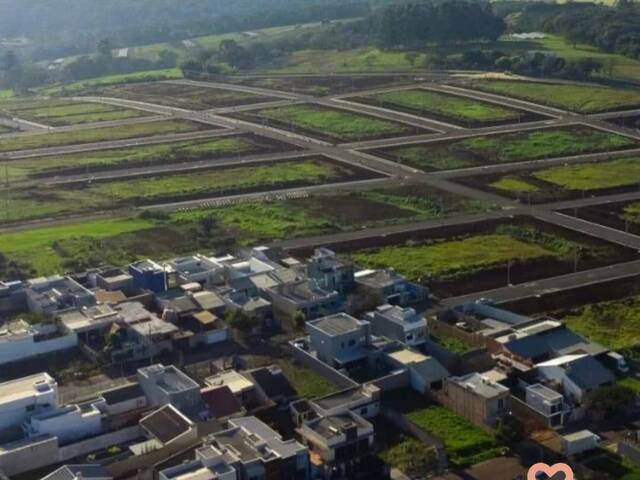Terreno para Venda em Cascavel - 2