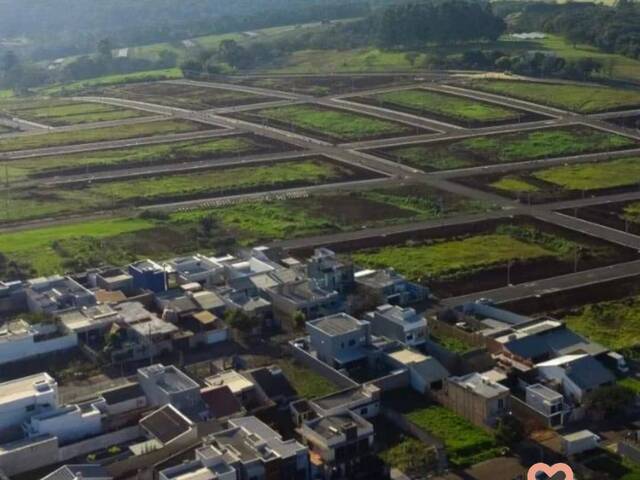 #264 - Terreno para Venda em Cascavel - PR - 2