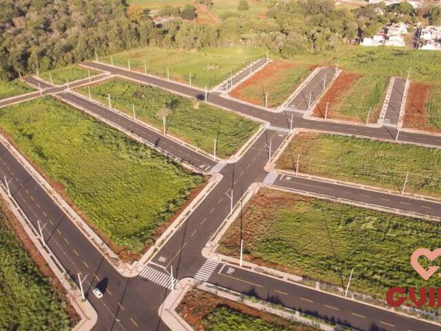 Terreno para Venda em Cascavel - 4