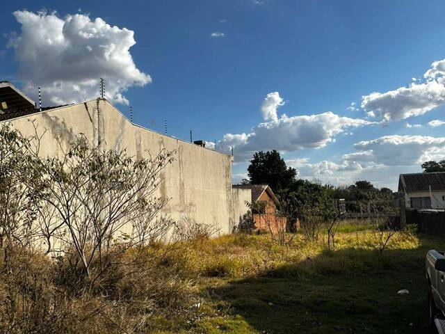 #441 - Terreno para Venda em Cascavel - PR - 3