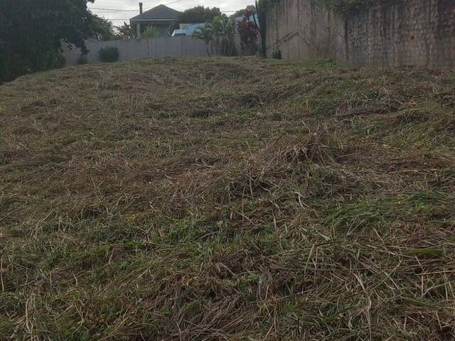 #442 - Terreno para Venda em Cascavel - PR - 1