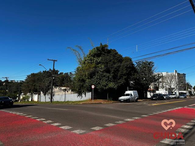 Terreno para Venda em Cascavel - 3