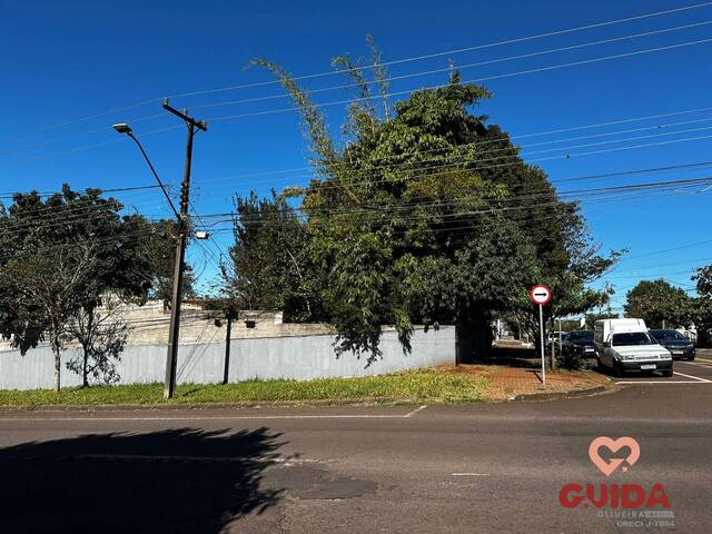 Terreno para Venda em Cascavel - 2