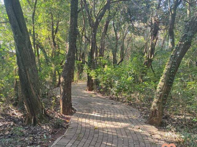 Apartamento para Venda em Cascavel - 5