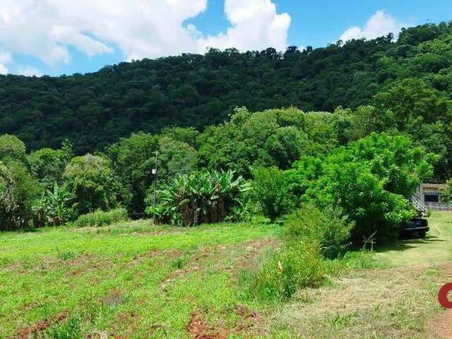 #467 - Chácara para Venda em Catanduvas - PR